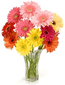 A bouquet of flowers, the symbol of RSS 2.0
