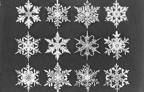 Black and white photo of 12 snowflakes from the Library of Congress taken by Theodor Horydczak to illustrate that all snowflakes are unique
